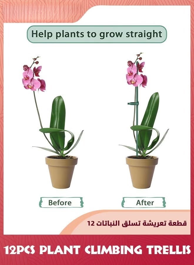 النبات تسلق التريليس,مصارف النبات الخضراء الحديقة القابلة للتعديل مصارف دعم النبات الجذع الواحد,12pcs عصا دعم النبات مع خواتم للنباتات الداخلية والخارجية,الزهور,الطماطم,12 بوصة,, - Image 4